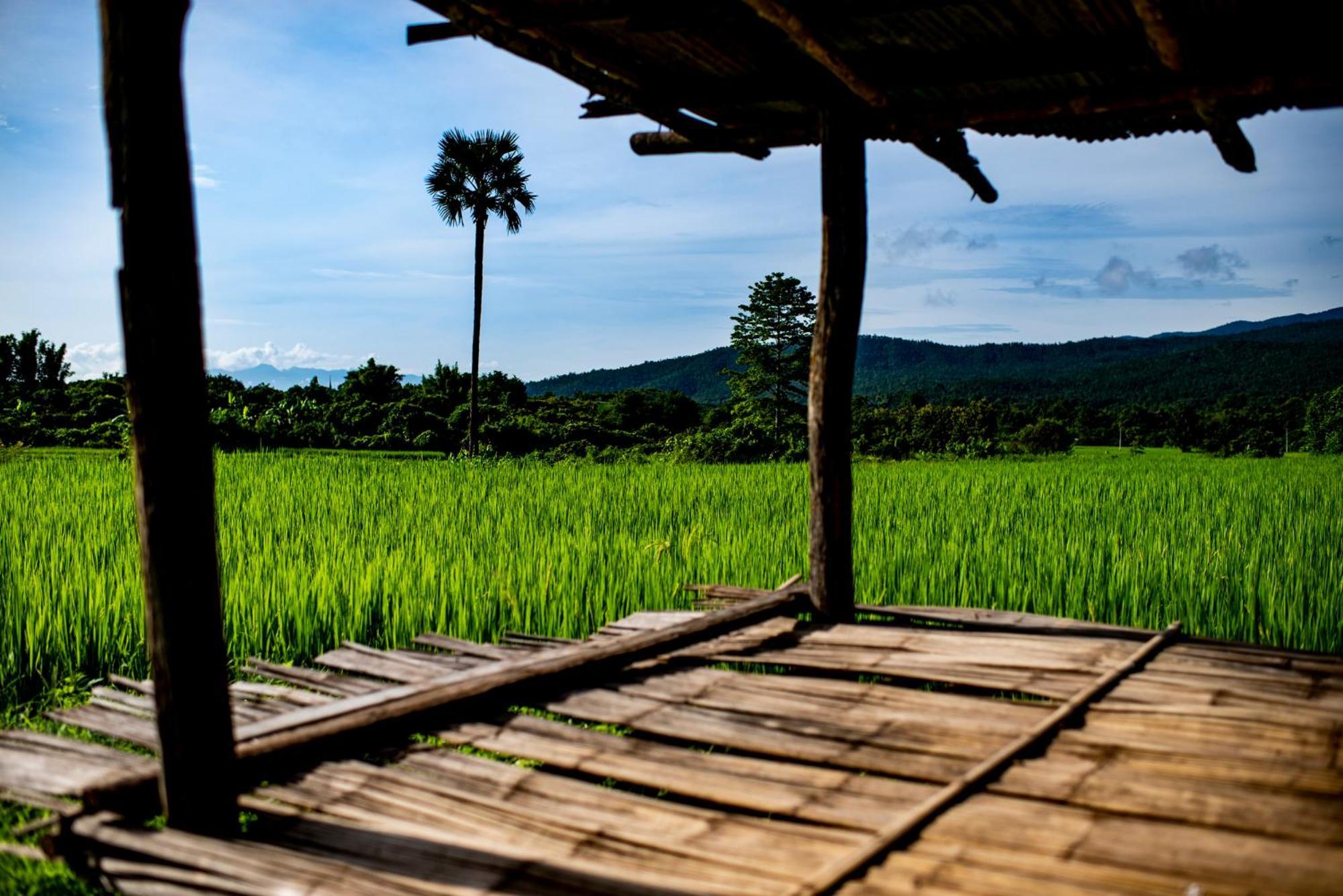 Suan Sook Homestay Chom Thong Exterior foto